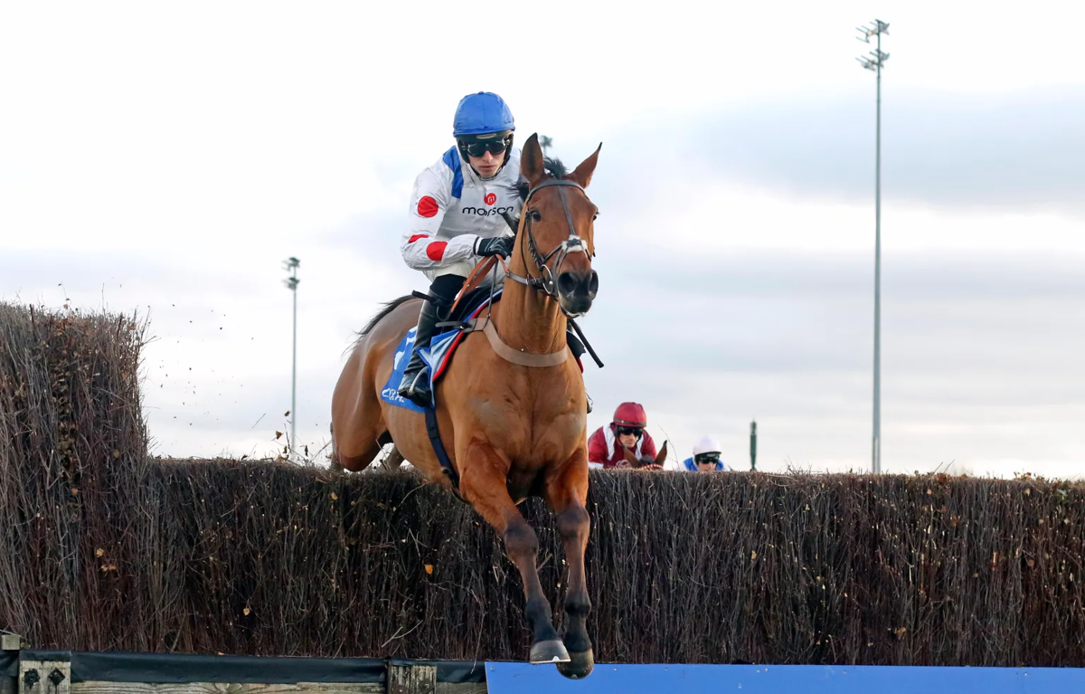 弗格森爵士失去心爱的赛马