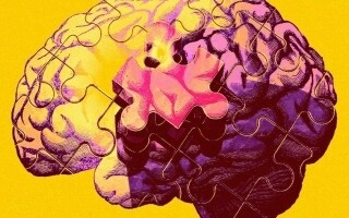 Исследование показывает положительное влияние воспитания на функции мозга