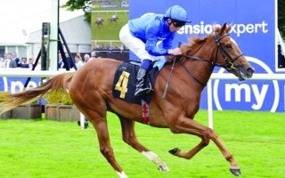 Цветок Пустыни стремится к победе на May Hill Stakes