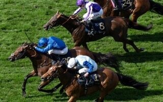 Дикий Тигр выигрывает Кубок Королевской Охоты на фестивале Royal Ascot