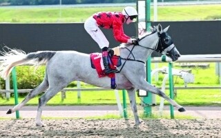 Кубок Утыбны Сталийонз для арабских лошадей в Лондоне