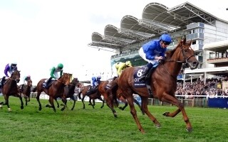 Команда Godolphin выиграла чемпионат британских скачек