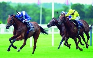 Лошади из ОАЭ участвуют в ставках Принца Уэльского на фестивале Royal Ascot
