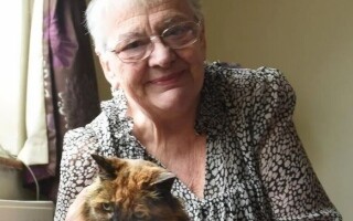 Старейшая кошка в мире скончалась в возрасте 33 лет | Новости за границей