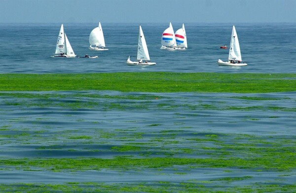 Ocean Surface Heating Accelerates Fourfold Since the 80s
